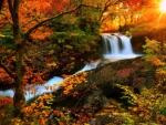 Autumn Waterfall