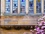 Yale University Victorian windows