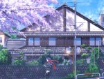 Anime Scenery