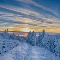 Sunset in winter forest