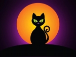 Moons Black Cat