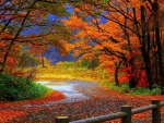 Autumn Road