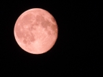 Pink Super Moon