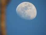Day Moon