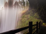 Silver Falls State Park