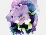 Pansy Edited to look like painting on IOS app Portra