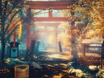 Torii Gate