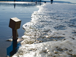Danbo At The Beach