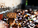 Danbo Playing In The Leaves