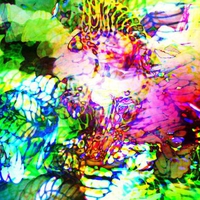 colores of happyness