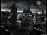 Moonlit cemetry