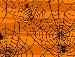 Spiderweb