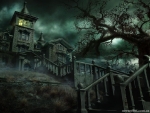 The haunted house