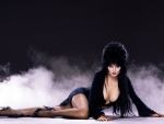 Elvira - Mistress of the Dark