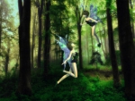 Forest Fairies