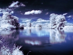 Winter Lake