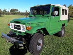 1981 Toyota FJ Cruiser