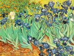 Vincent Van Gogh