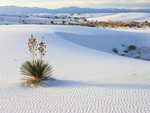 White desert