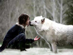 Wolf kiss