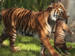 Mother Tiger Carrying her Cub