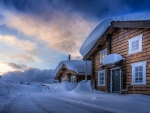 Log Cabins on Winter Street