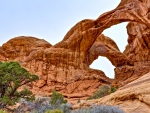 Arches National Park