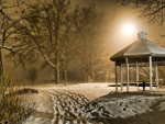 Gazebo in Misty Winter Park