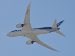 LAN Airlines Boeing 787-8 Dreamliner