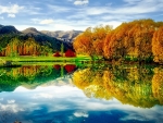 Autumn  Mountain and Tree Reflection in the Lake
