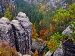 Elbe Sandstone Mountains and Forest in Saxony, Germany