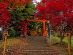 Torii Gate