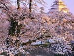 Aizuwakamatsu Castle