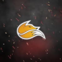 Echo Fox Discord Wallpaper