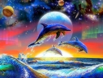 Dolphins party