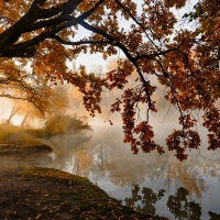 Misty autumn morning