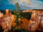 Bryce Canyon in Utah