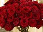 Red bouquet of Roses