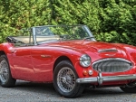 1966 Austin Healey 3000 Roadster