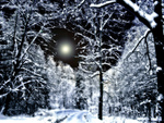 Snow Moon