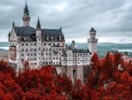 Red Autumn Trees Around Neuschwanstein Castle