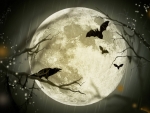 Halloween Moon