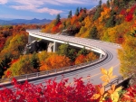 Autumn Curve Road