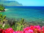 Hawaiian beach