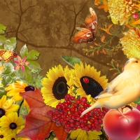 Butterflies Bird Fall