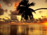 Magnificent tropical sunset