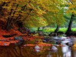 Early Autumn Stream