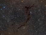 Barnard 150 Seahorse in Cepheus