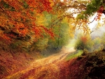 Rural Autumn Lane