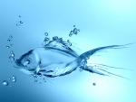 Abstract Water Fish